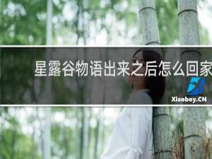 星露谷物语出来之后怎么回家