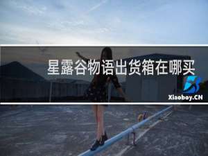 星露谷物语出货箱在哪买