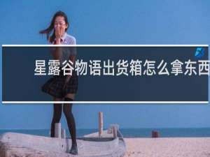 星露谷物语出货箱怎么拿东西