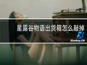 星露谷物语出货箱怎么敲掉