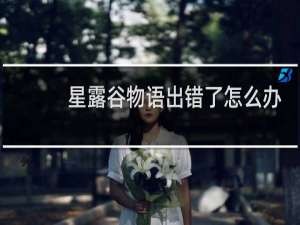星露谷物语出错了怎么办