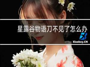 星露谷物语刀不见了怎么办