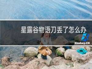 星露谷物语刀丢了怎么办