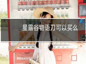 星露谷物语刀可以买么