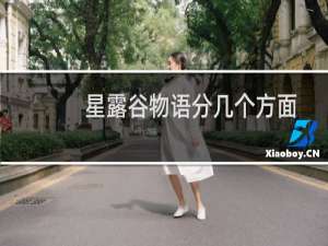 星露谷物语分几个方面