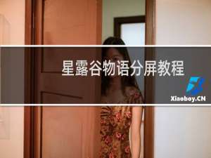 星露谷物语分屏教程