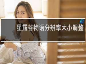 星露谷物语分辨率大小调整