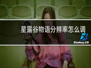 星露谷物语分辨率怎么调