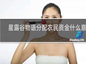 星露谷物语分配农民资金什么意思