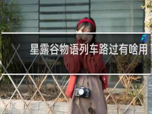 星露谷物语列车路过有啥用