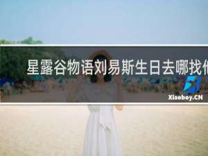 星露谷物语刘易斯生日去哪找他