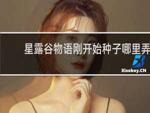 星露谷物语刚开始种子哪里弄