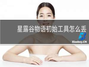 星露谷物语初始工具怎么丢