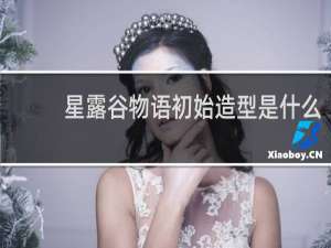 星露谷物语初始造型是什么