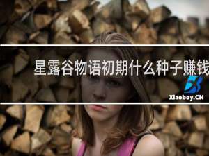 星露谷物语初期什么种子赚钱