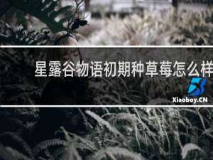星露谷物语初期种草莓怎么样