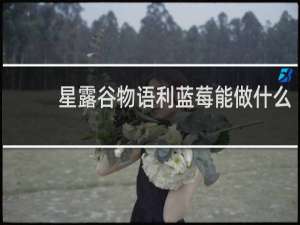 星露谷物语利蓝莓能做什么