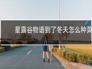 星露谷物语到了冬天怎么种菜