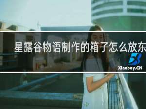 星露谷物语制作的箱子怎么放东西