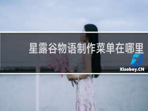 星露谷物语制作菜单在哪里