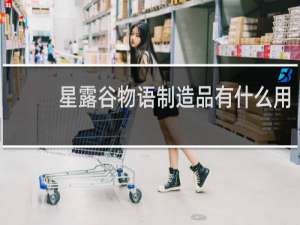 星露谷物语制造品有什么用
