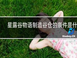 星露谷物语制造谷仓的条件是什么