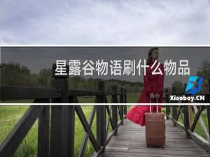 星露谷物语刷什么物品