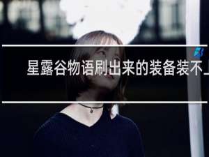 星露谷物语刷出来的装备装不上