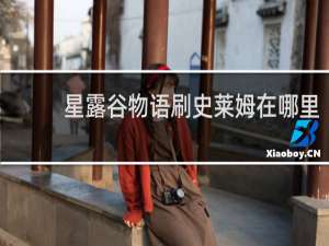 星露谷物语刷史莱姆在哪里