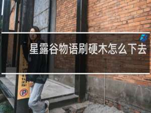 星露谷物语刷硬木怎么下去