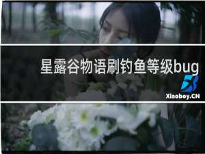 星露谷物语刷钓鱼等级bug