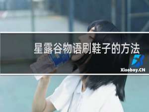 星露谷物语刷鞋子的方法