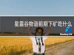 星露谷物语前期下矿吃什么