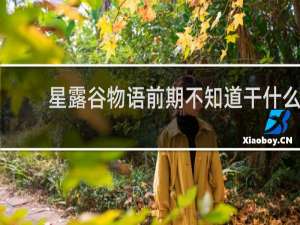 星露谷物语前期不知道干什么