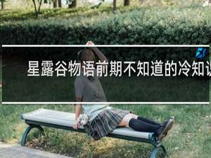 星露谷物语前期不知道的冷知识