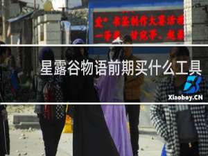 星露谷物语前期买什么工具