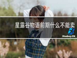 星露谷物语前期什么不能卖