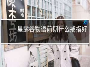 星露谷物语前期什么戒指好