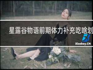 星露谷物语前期体力补充吃啥划算