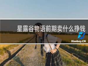 星露谷物语前期卖什么挣钱