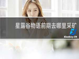星露谷物语前期去哪里采矿