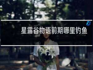 星露谷物语前期哪里钓鱼