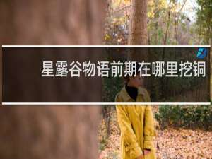 星露谷物语前期在哪里挖铜