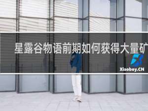 星露谷物语前期如何获得大量矿石