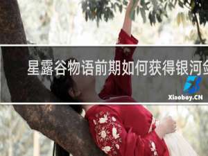 星露谷物语前期如何获得银河剑