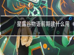星露谷物语前期建什么用