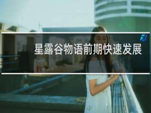 星露谷物语前期快速发展