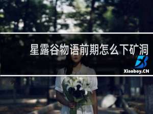 星露谷物语前期怎么下矿洞