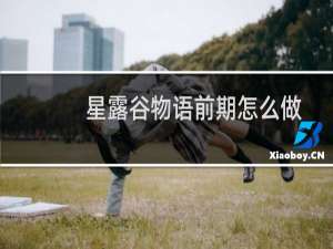 星露谷物语前期怎么做