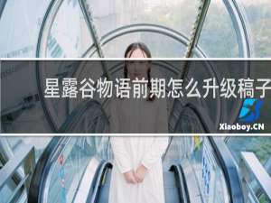 星露谷物语前期怎么升级稿子
